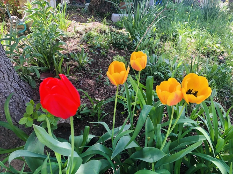 IMG_3513.jpg?type=w966