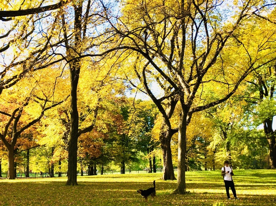 IMG_3478.jpg?type=w966