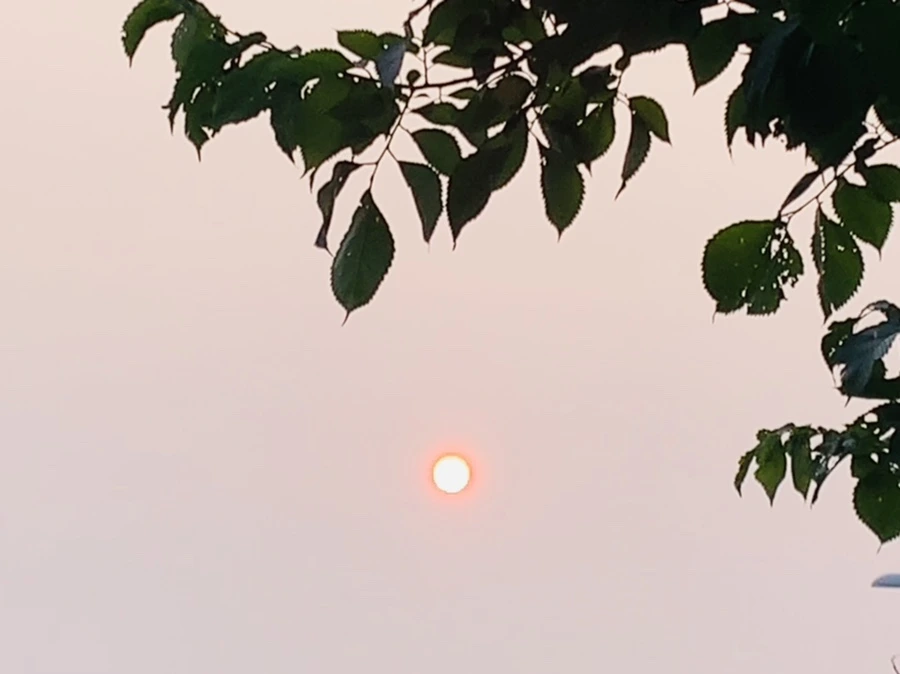 IMG_8344.jpg?type=w966