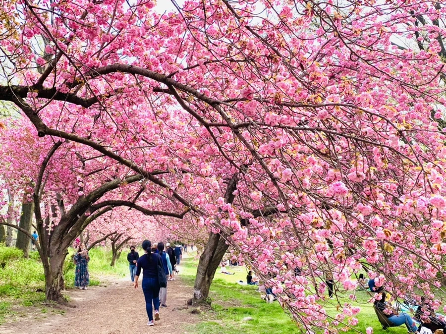 IMG_5198.jpg?type=w966