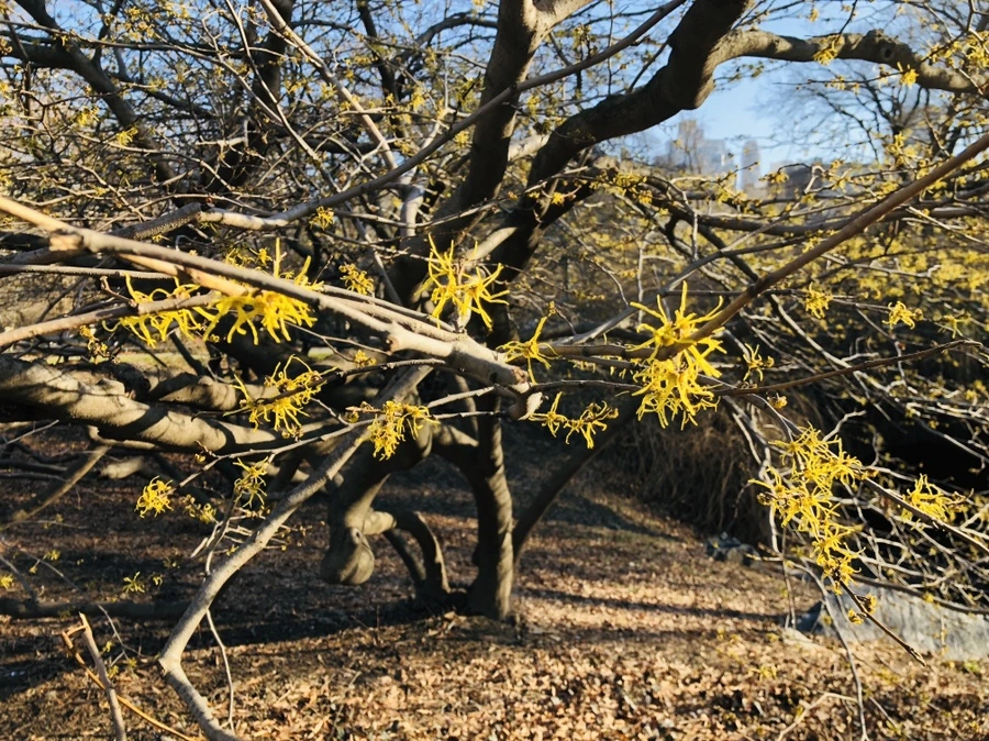 IMG_8610.jpg?type=w966