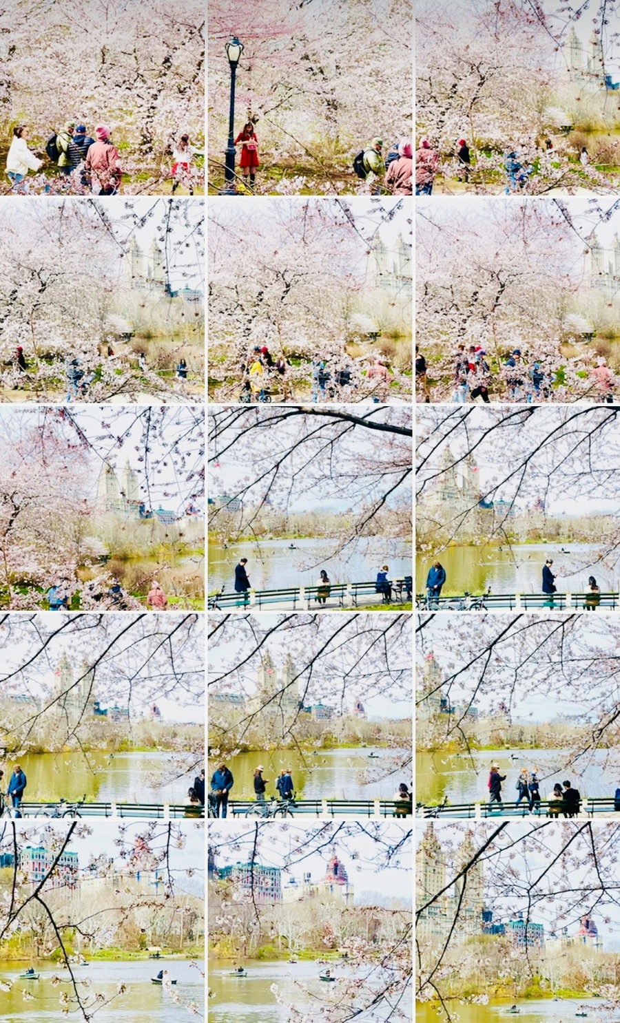 IMG_8994.jpg?type=w966