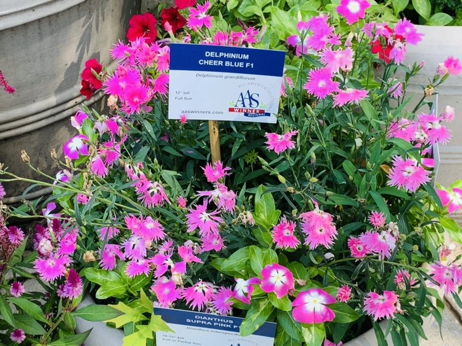 IMG_0646.jpg?type=w966