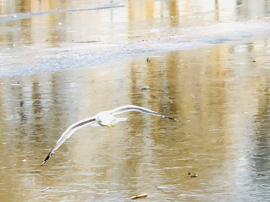 IMG_2114.jpg?type=w966