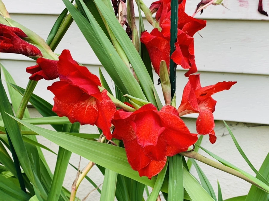 IMG_0666.jpg?type=w966