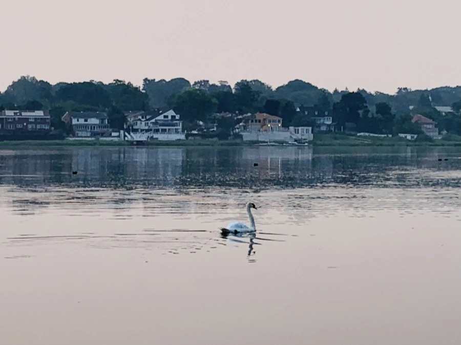 IMG_8428.jpg?type=w966