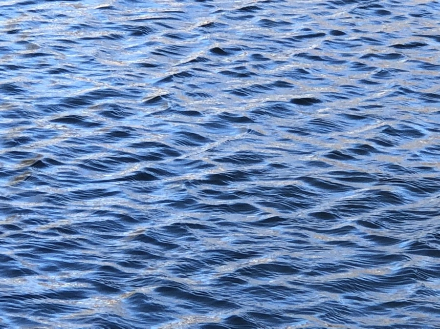 IMG_3827.jpg?type=w966