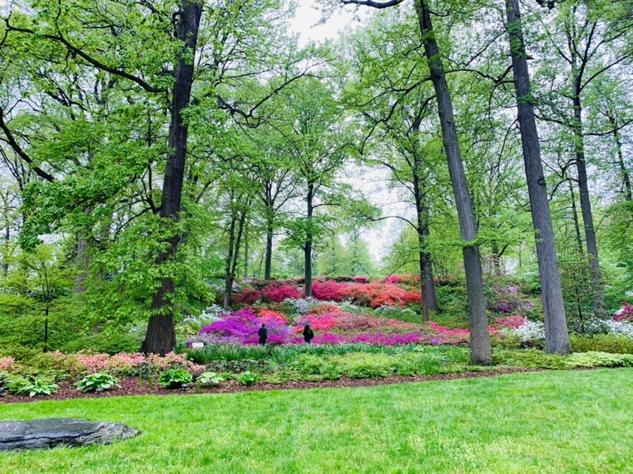 IMG_0300.jpg?type=w966