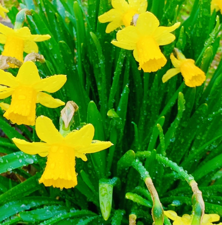 IMG_5008.jpg?type=w966