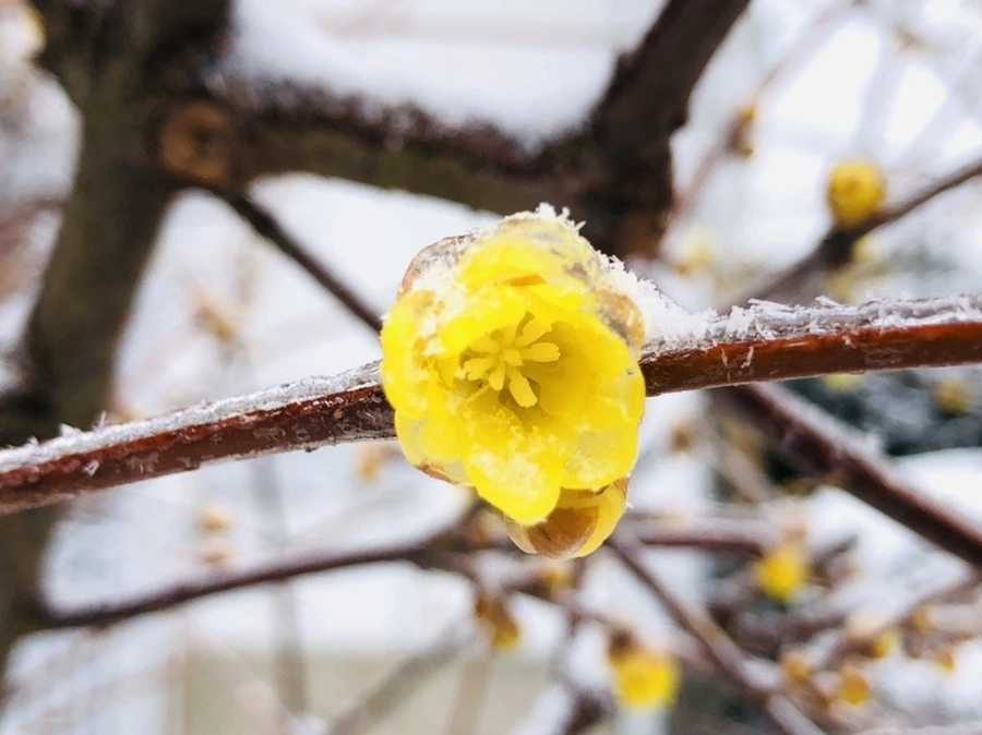 8ocWR-1e_rcCJvUzokuyL1ONbQA