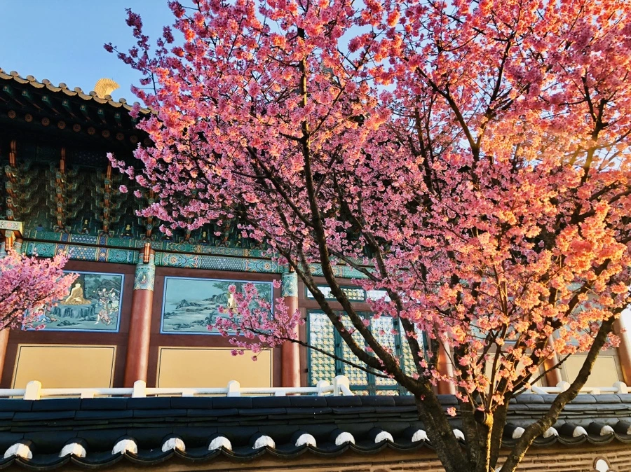 IMG_6330.jpg?type=w966