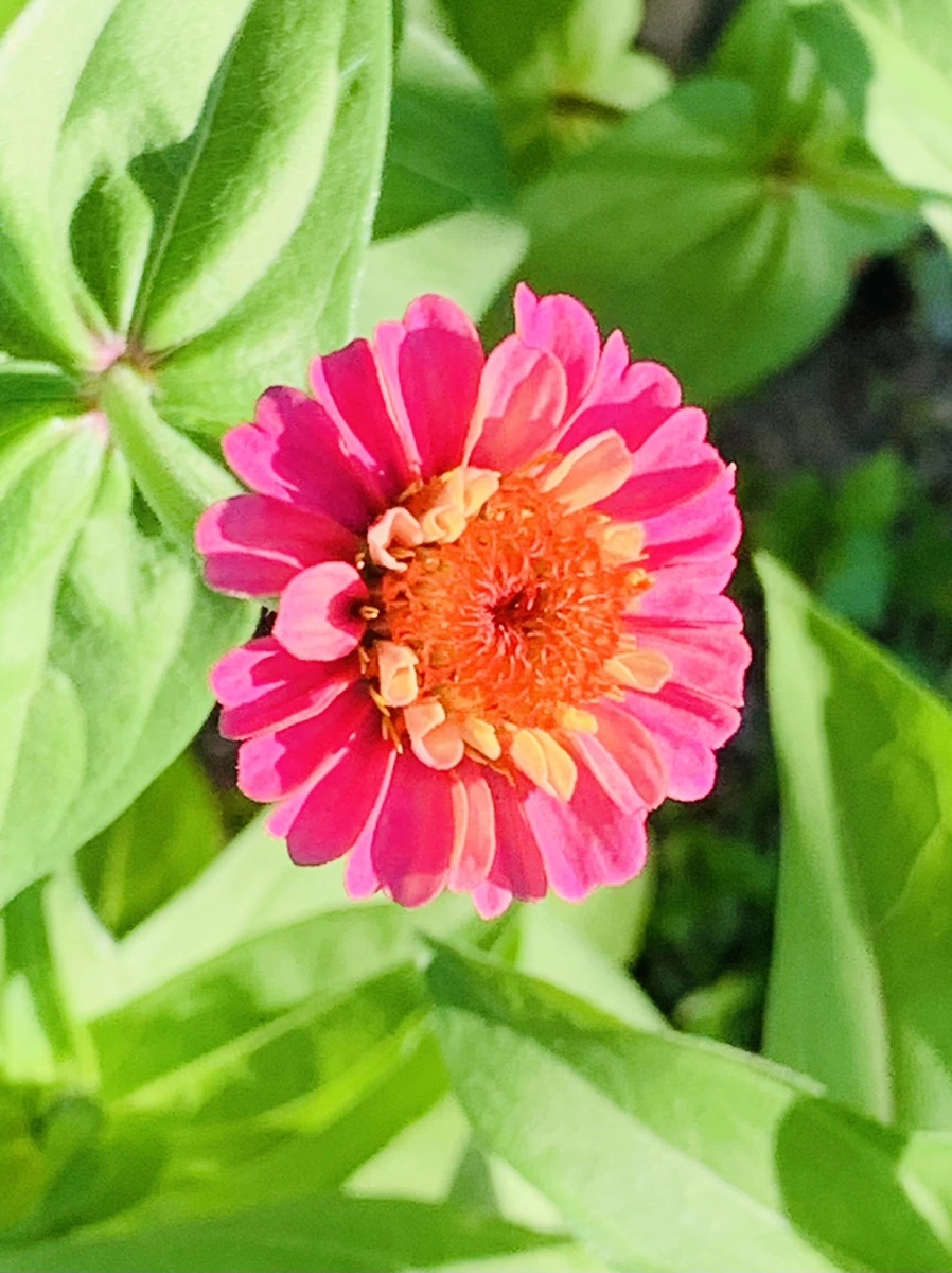 IMG_8727.jpg?type=w966