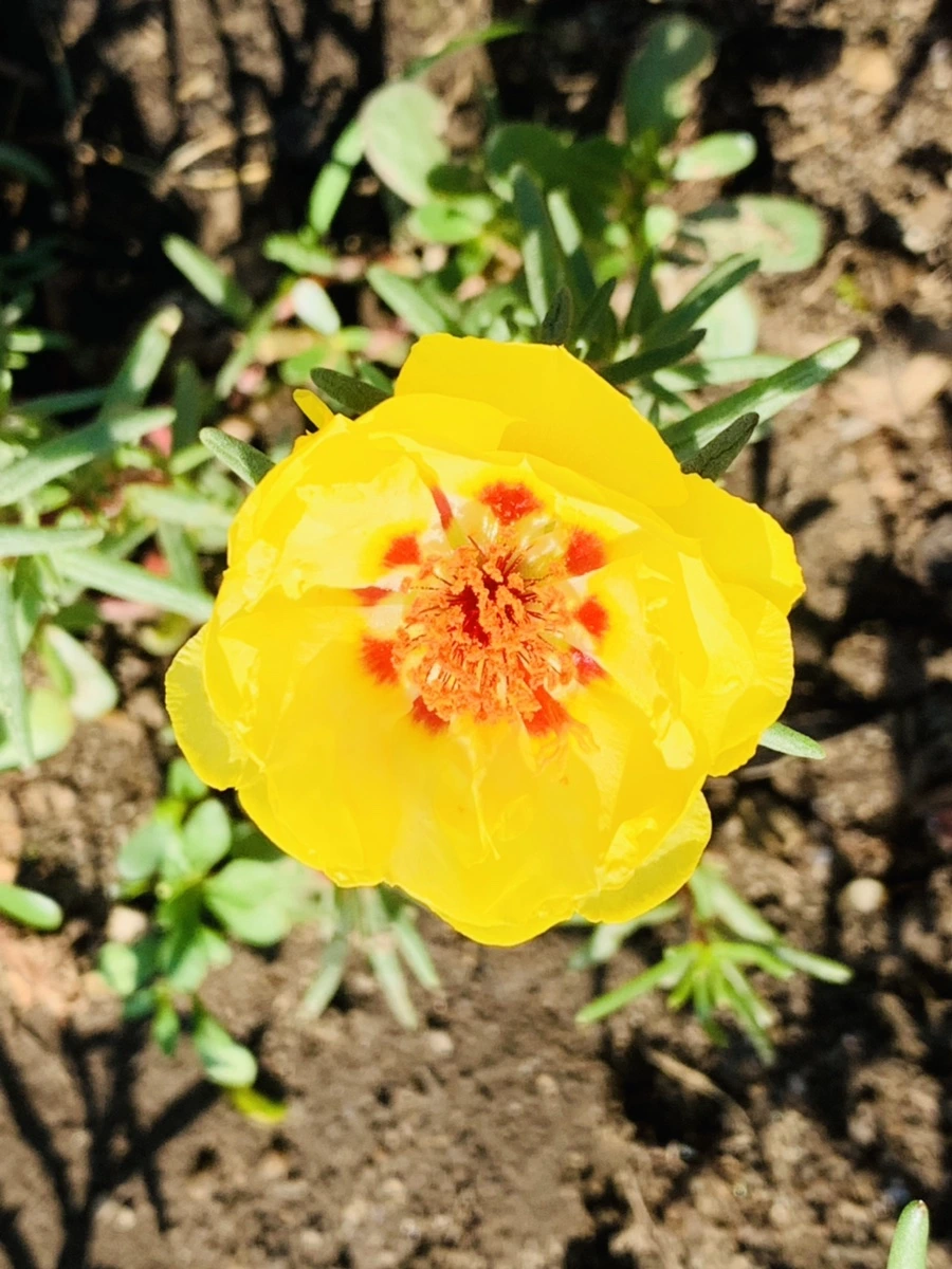 IMG_8416.jpg?type=w966