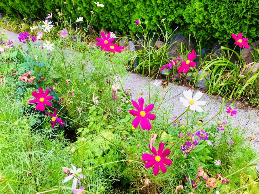 IMG_4138.jpg?type=w966