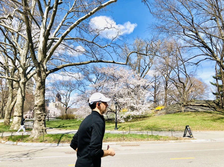 IMG_6805.jpg?type=w966