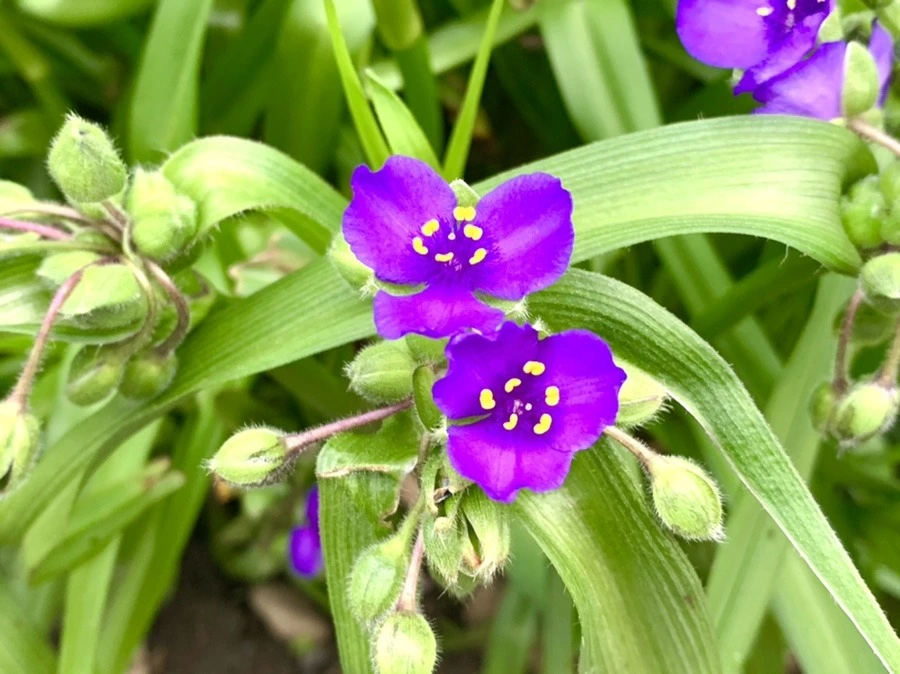 RA2l6AplWoIa-L8TSXBR2rJdcAM