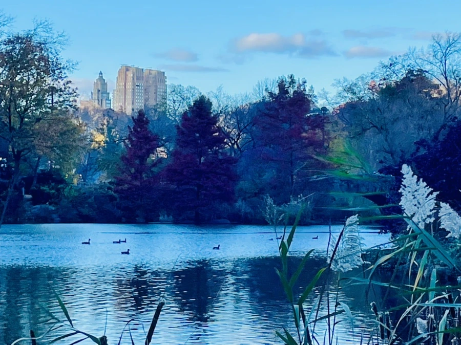 IMG_5009.jpg?type=w966