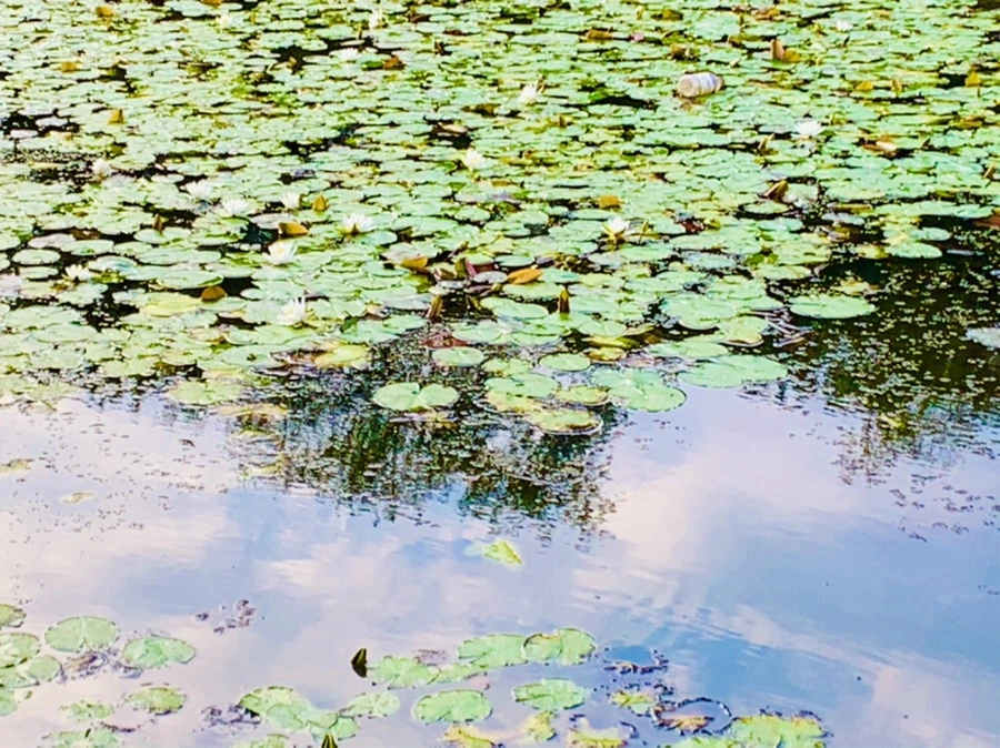 IMG_5835.jpg?type=w966