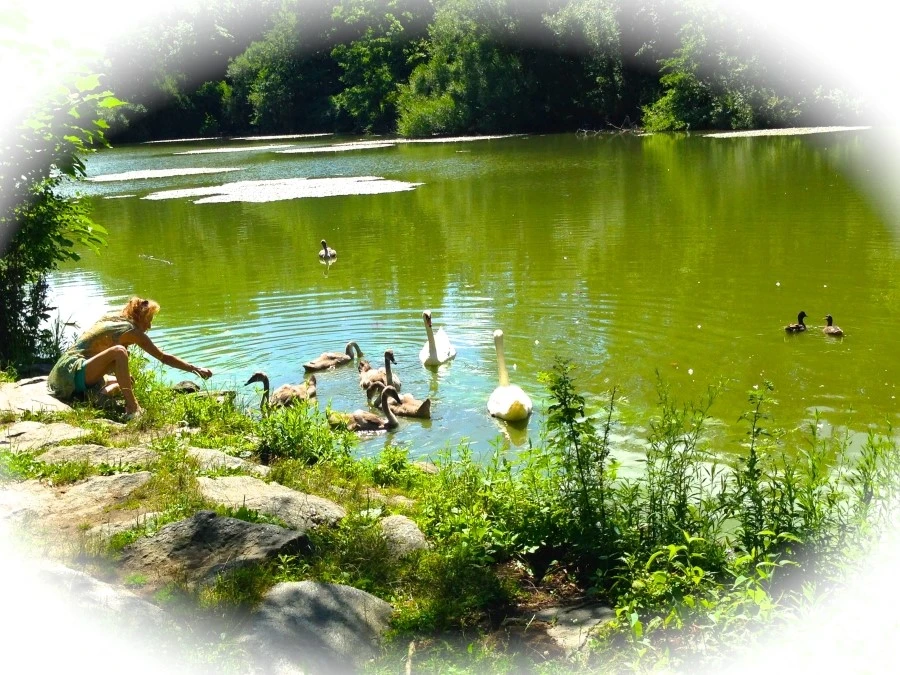 IMG_8982.JPG?type=w1