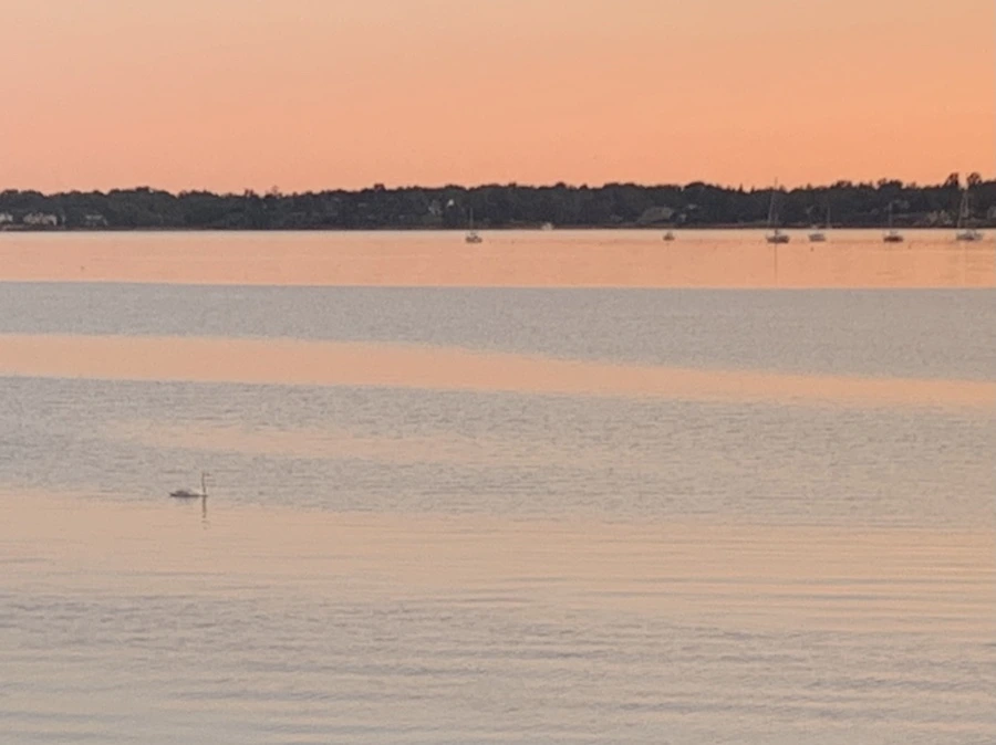 IMG_7498.jpg?type=w966