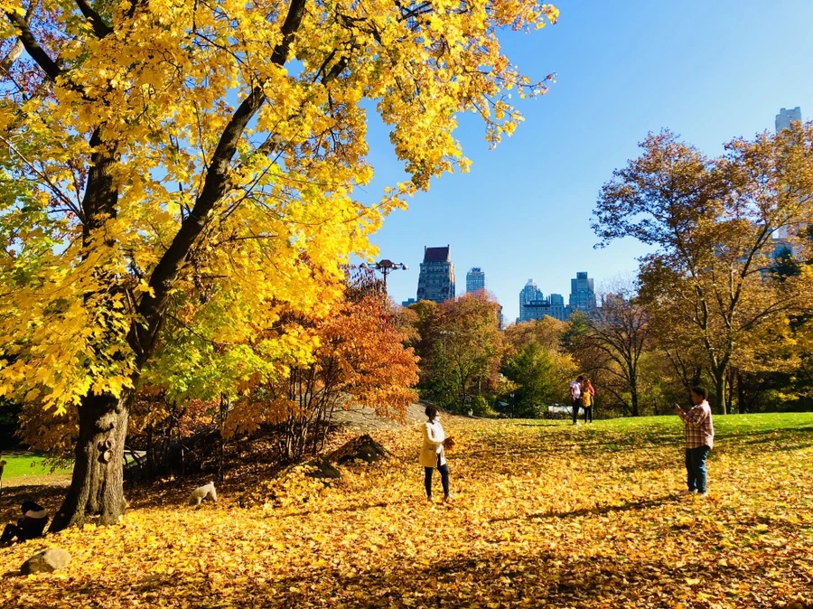 IMG_4236.jpg?type=w966