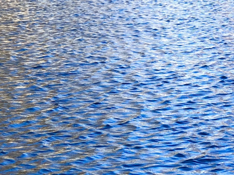 IMG_3889.jpg?type=w966