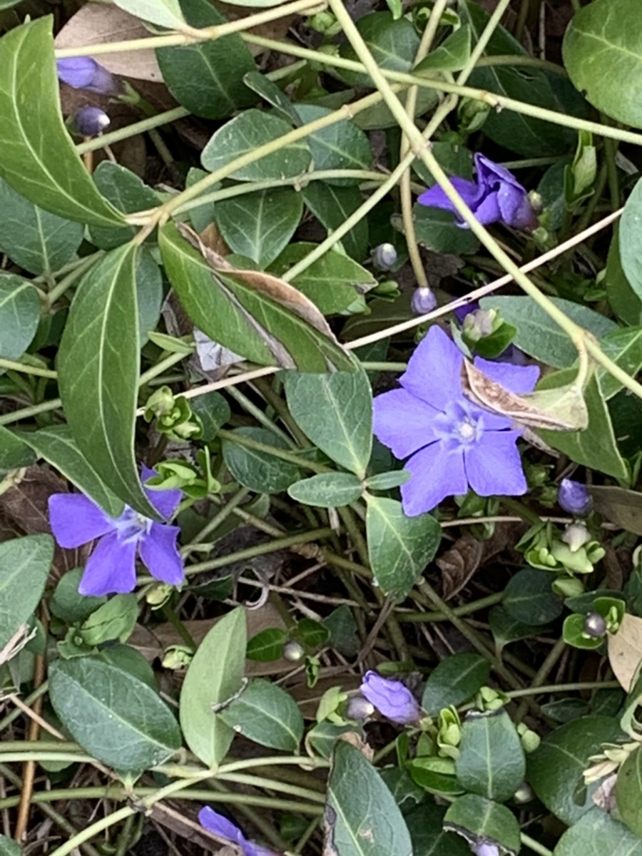 IMG_3689.jpg?type=w966