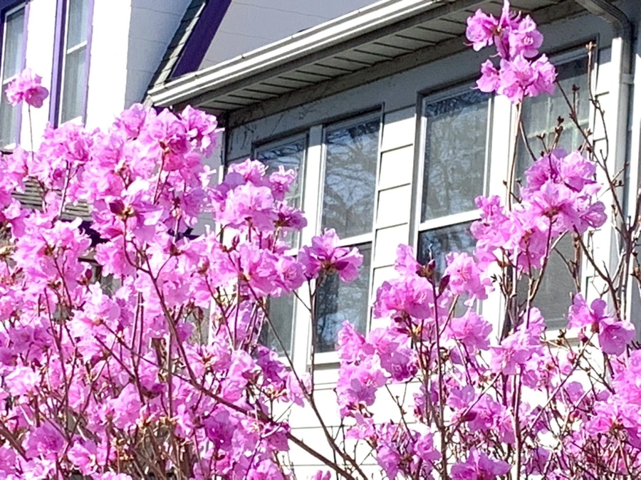 IMG_5532.jpg?type=w966