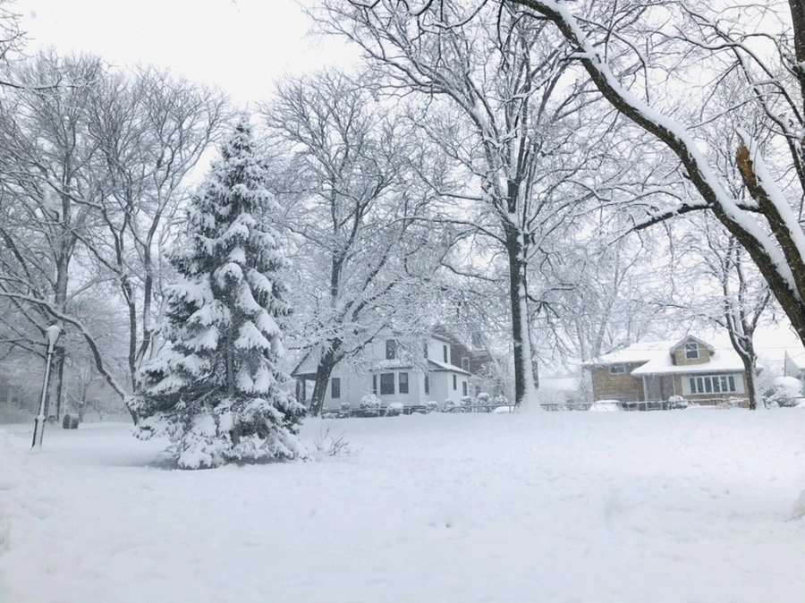 IMG_1093.jpg?type=w966