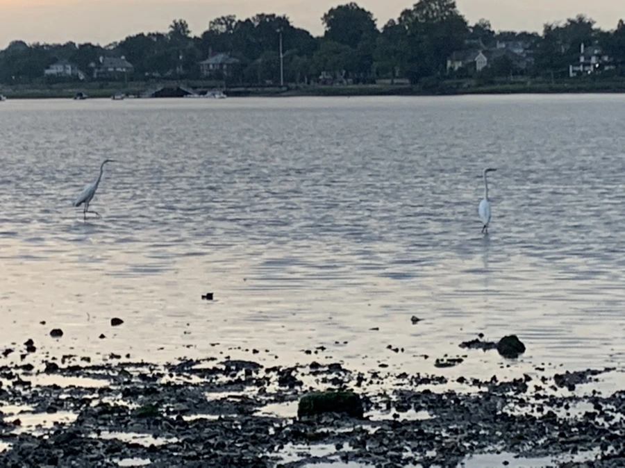 IMG_8160.jpg?type=w966