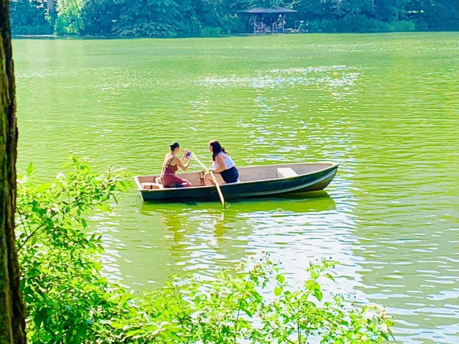 IMG_3476.jpg?type=w966