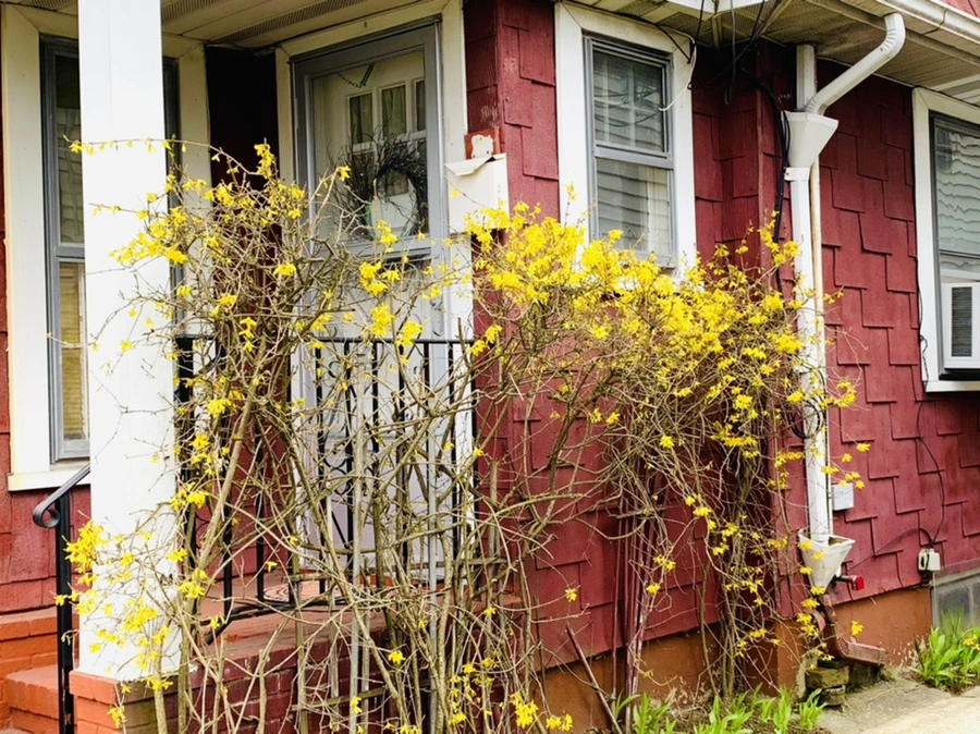 IMG_6677.jpg?type=w966