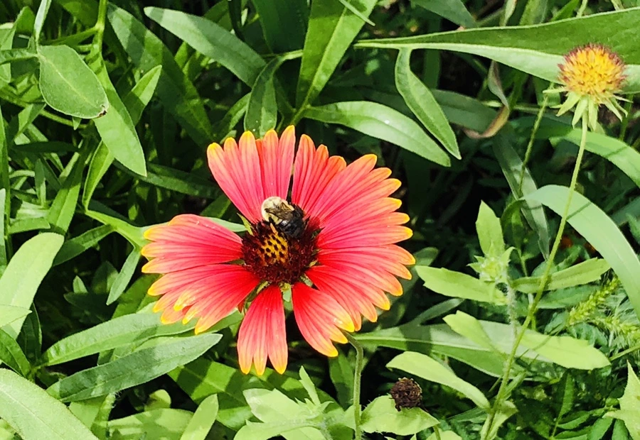 IMG_7889.jpg?type=w966