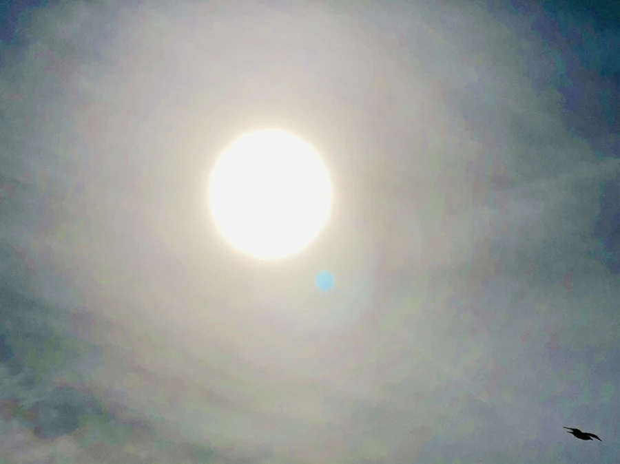 IMG_3152.jpg?type=w966