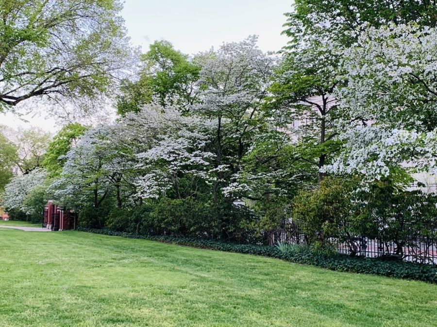 IMG_2553.jpg?type=w966