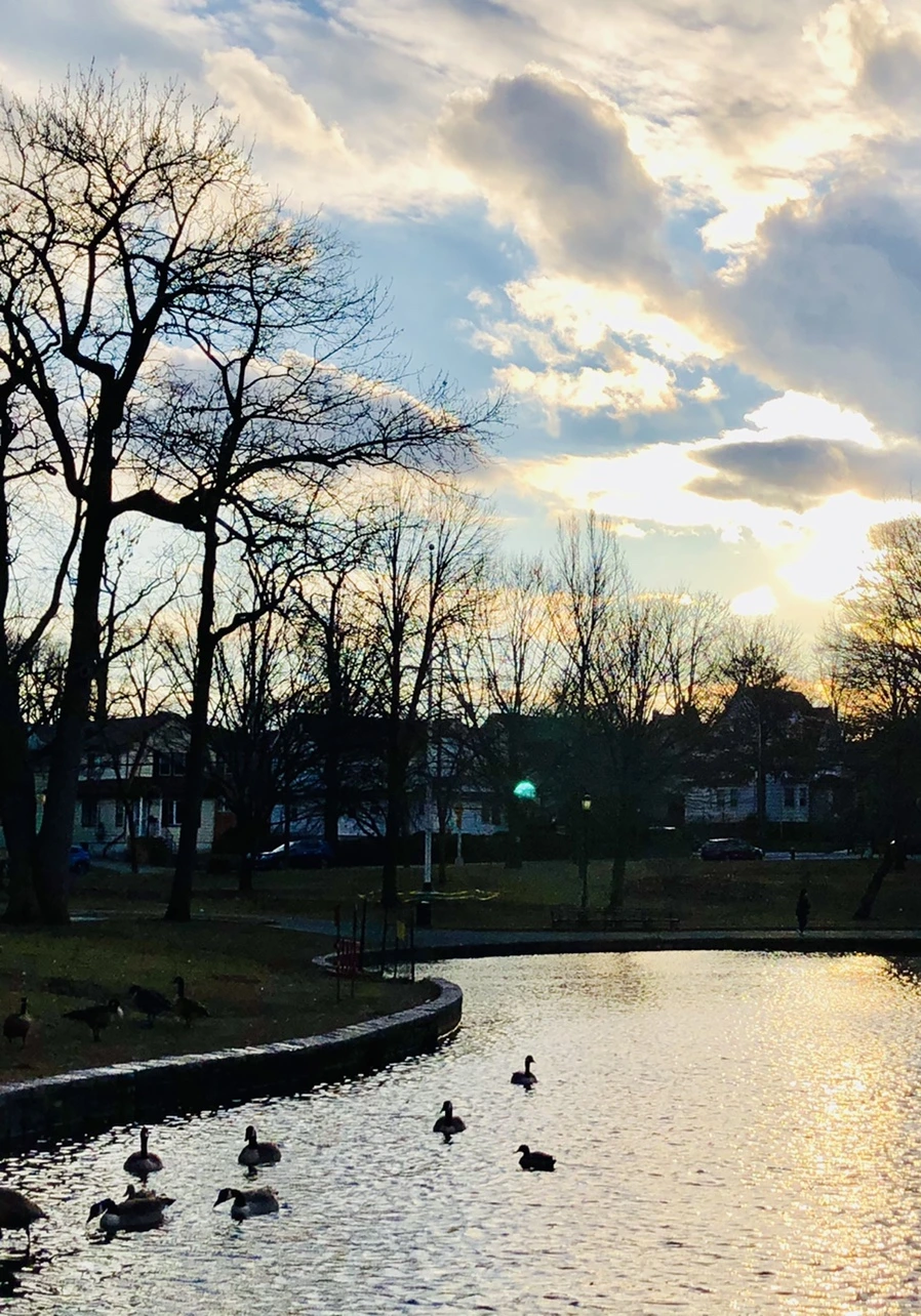 IMG_4409.jpg?type=w966