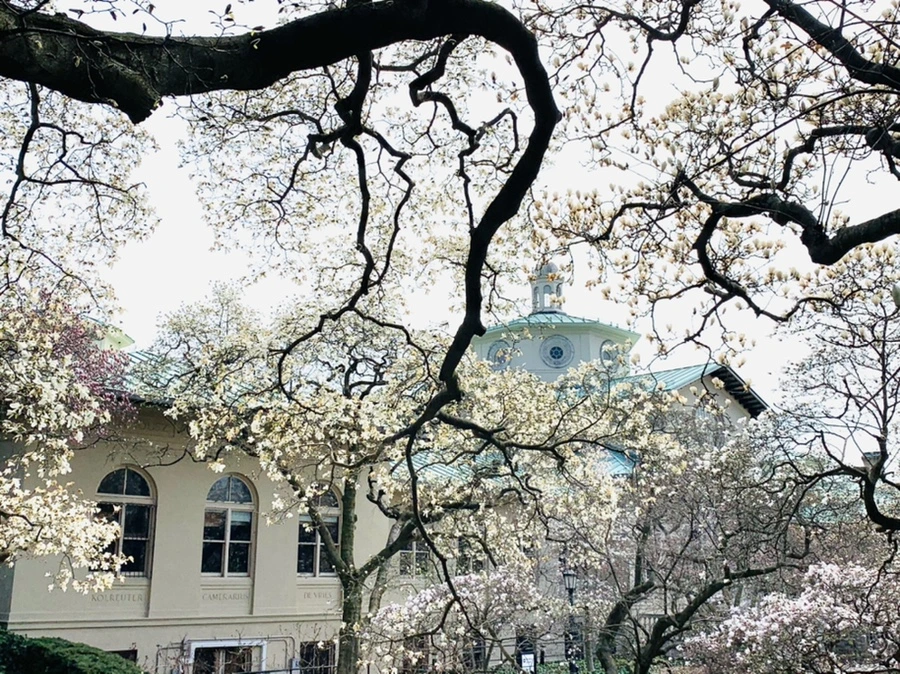 IMG_7296.jpg?type=w966