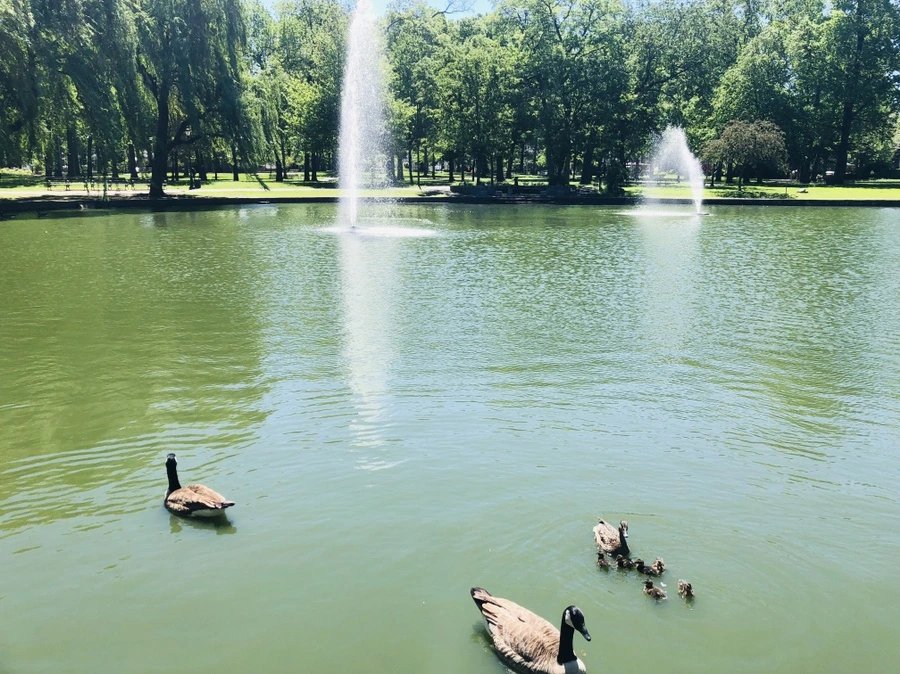 IMG_4883.jpg?type=w966