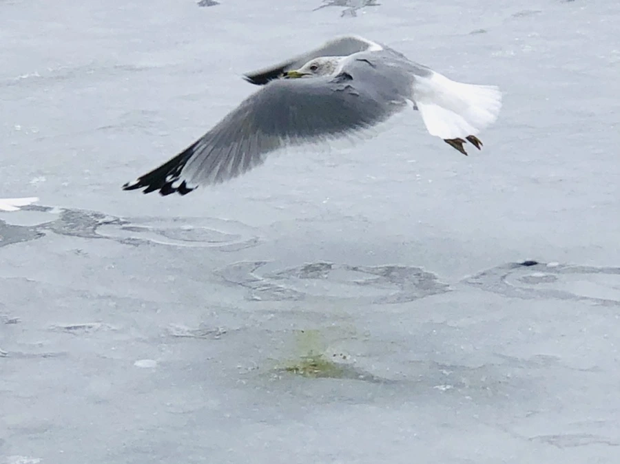 IMG_6322.jpg?type=w966