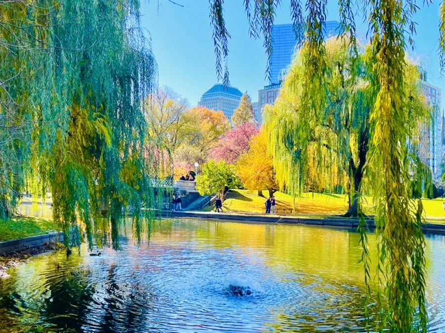 IMG_2547.jpg?type=w966