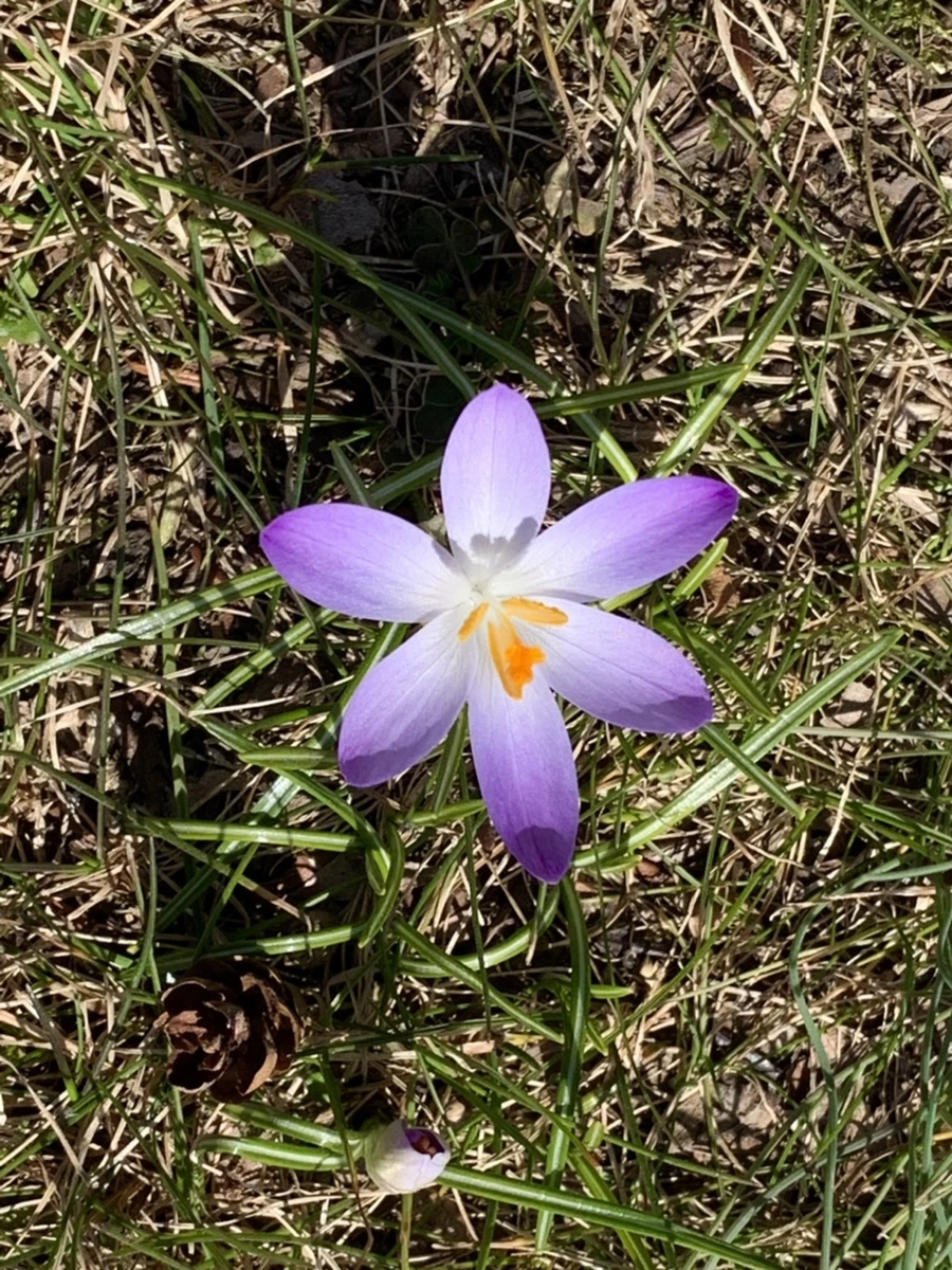 IMG_9195.jpg?type=w966