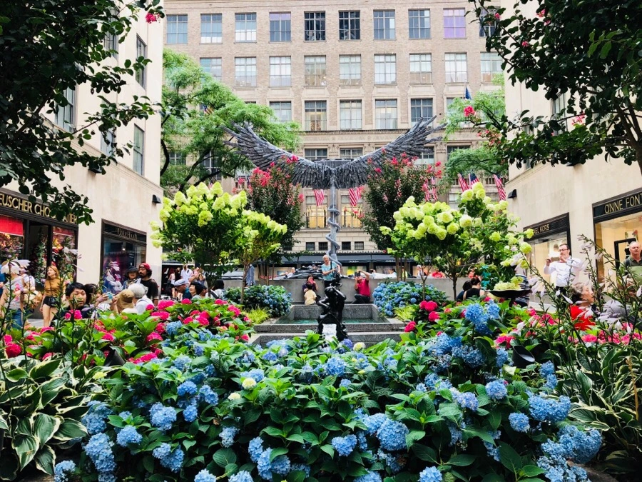 IMG_8962.jpg?type=w966