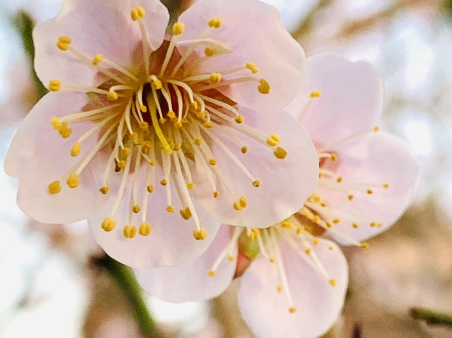 IMG_2827.jpg?type=w966