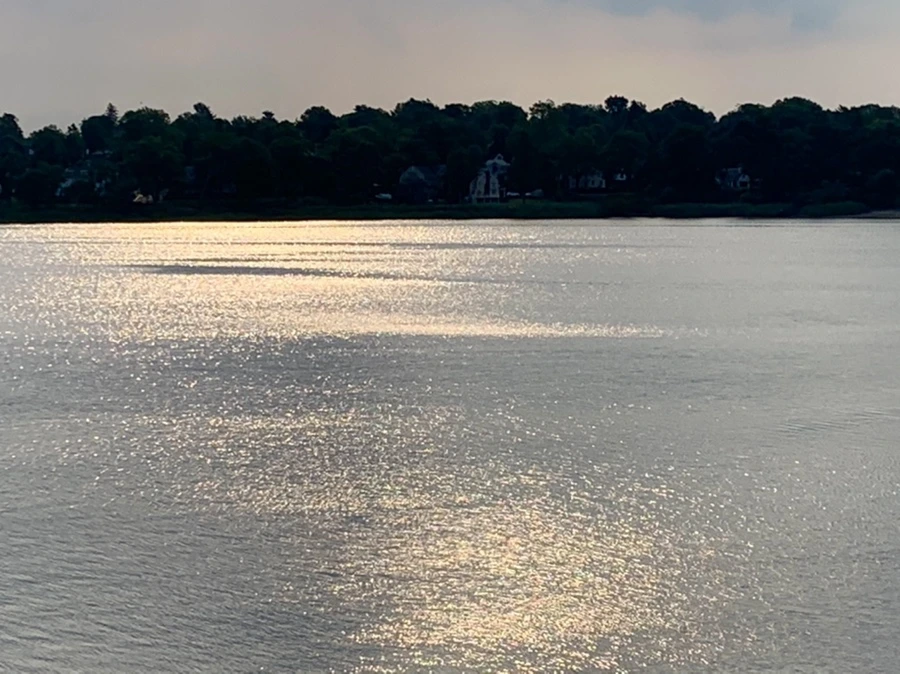 IMG_1567.jpg?type=w966