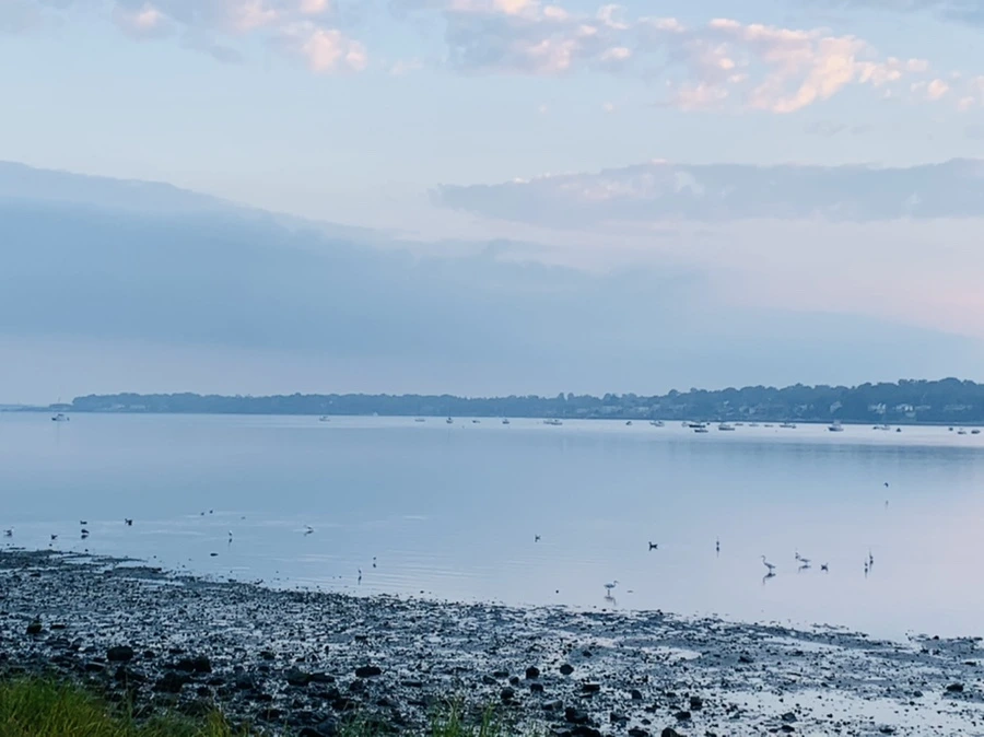 IMG_8181.jpg?type=w966