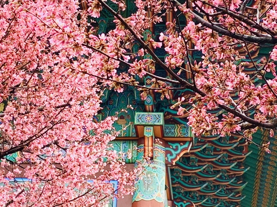 IMG_5252.jpg?type=w966