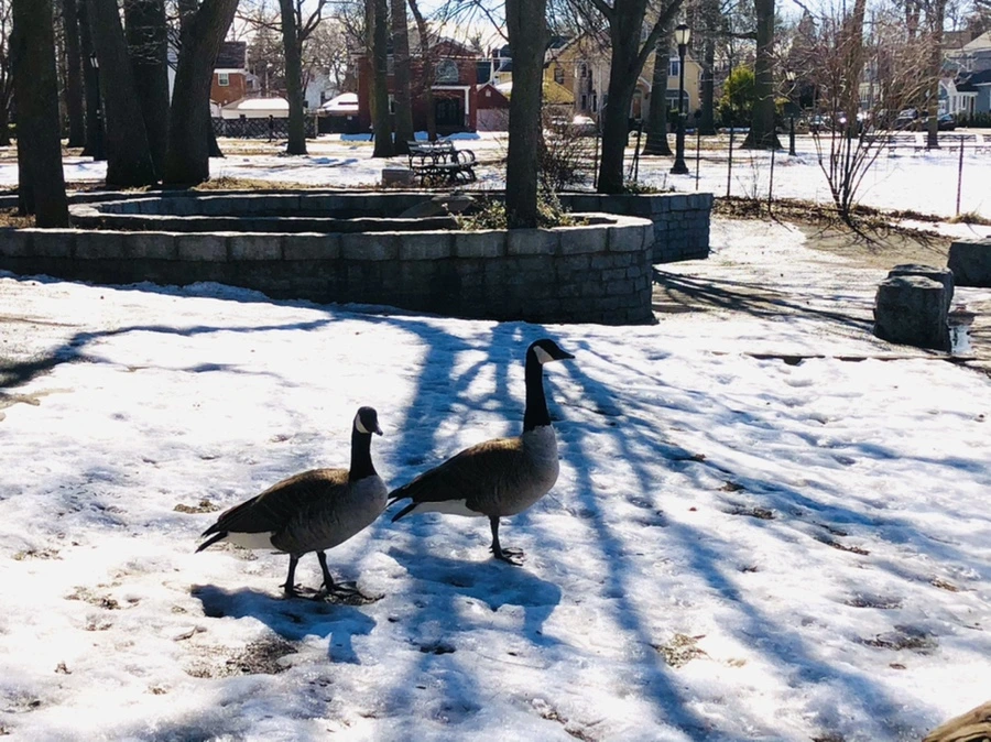 IMG_4709.jpg?type=w966