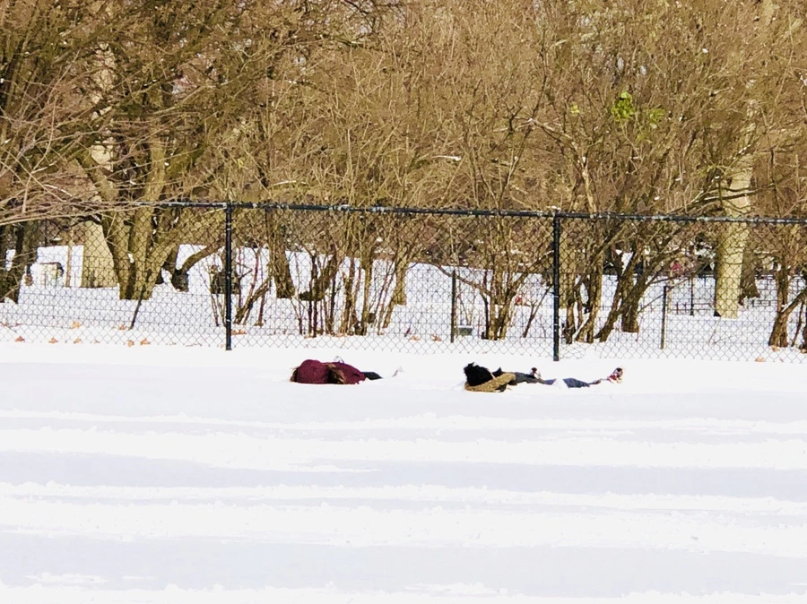 IMG_7105.jpg?type=w966