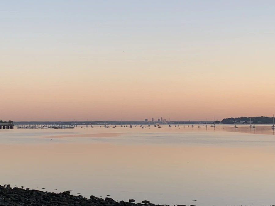 IMG_8547.jpg?type=w966