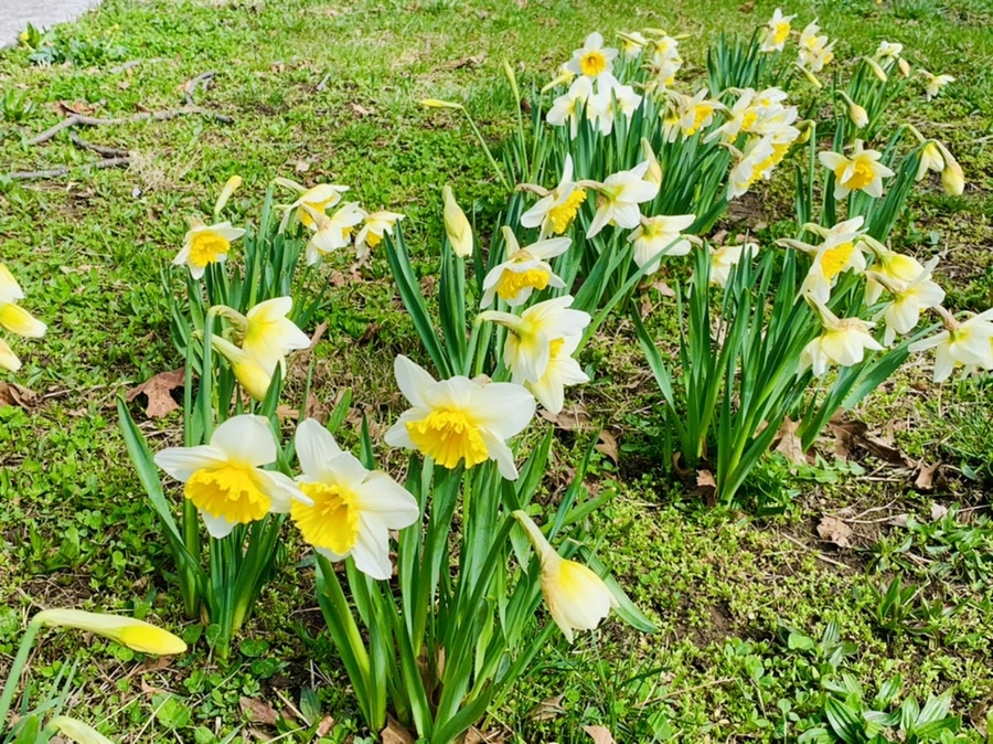 IMG_6365.jpg?type=w966